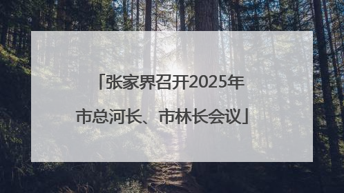 张家界召开2025年市总河长、市林长会议