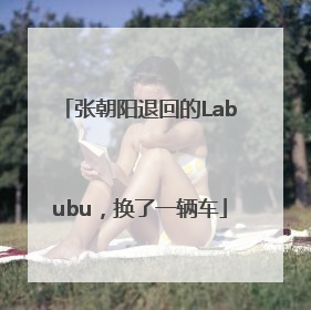 张朝阳退回的Labubu，换了一辆车