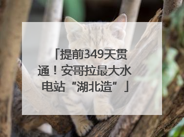 提前349天贯通！安哥拉最大水电站“湖北造”