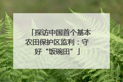 探访中国首个基本农田保护区监利：守好“饭碗田”