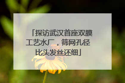 探访武汉首座双膜工艺水厂，筛网孔径比头发丝还细
