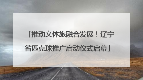 推动文体旅融合发展！辽宁省匹克球推广启动仪式启幕