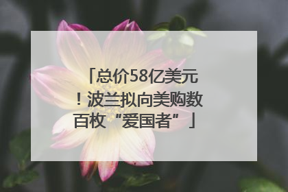 总价58亿美元！波兰拟向美购数百枚“爱国者”