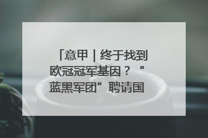 意甲｜终于找到欧冠冠军基因？“蓝黑军团”聘请国米名宿齐沃执教