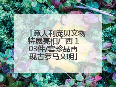意大利庞贝文物特展亮相广西 103件/套珍品再现古罗马文明