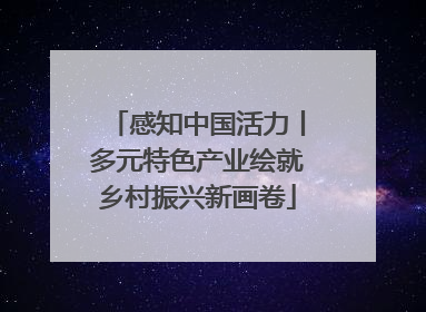 感知中国活力丨多元特色产业绘就乡村振兴新画卷