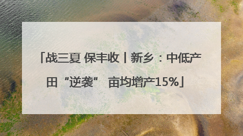 战三夏 保丰收丨新乡：中低产田“逆袭” 亩均增产15%