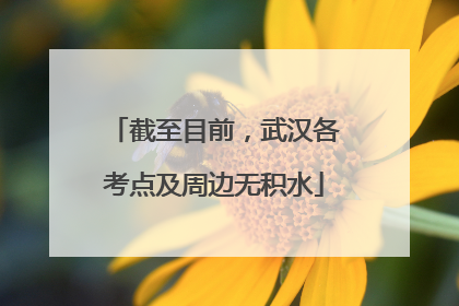 截至目前，武汉各考点及周边无积水