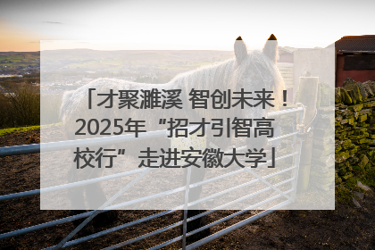 才聚濉溪 智创未来！2025年“招才引智高校行”走进安徽大学
