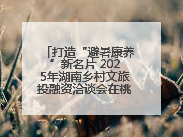 打造“避暑康养”新名片 2025年湖南乡村文旅投融资洽谈会在桃江举办