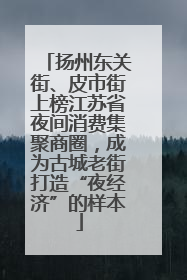 扬州东关街、皮市街上榜江苏省夜间消费集聚商圈，成为古城老街打造“夜经济”的样本