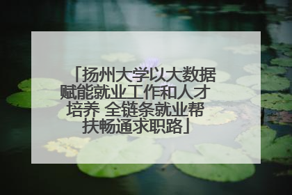 扬州大学以大数据赋能就业工作和人才培养 全链条就业帮扶畅通求职路
