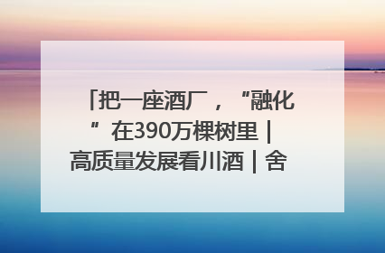 把一座酒厂，“融化”在390万棵树里｜高质量发展看川酒｜舍得酒｜舍得酒业｜舍得老酒｜沱牌酒