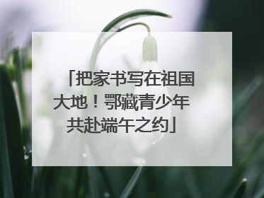 把家书写在祖国大地！鄂藏青少年共赴端午之约