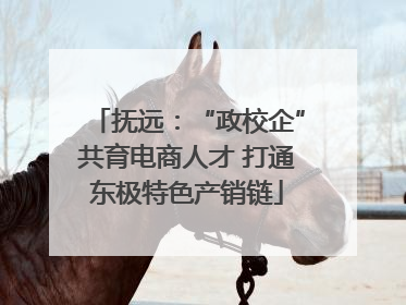 抚远：“政校企”共育电商人才 打通东极特色产销链