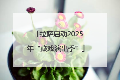 拉萨启动2025年“藏戏演出季”