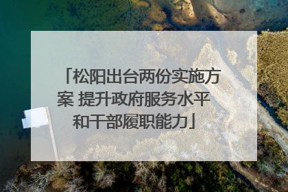 松阳出台两份实施方案 提升政府服务水平和干部履职能力