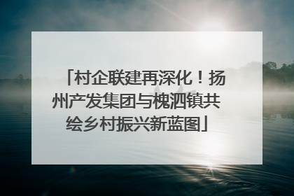 村企联建再深化！扬州产发集团与槐泗镇共绘乡村振兴新蓝图