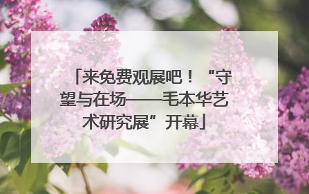 来免费观展吧！“守望与在场——毛本华艺术研究展”开幕