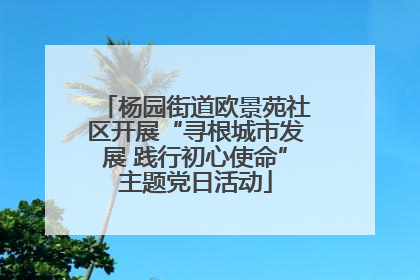 杨园街道欧景苑社区开展“寻根城市发展 践行初心使命”主题党日活动