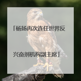 杨扬再次连任世界反兴奋剂机构副主席
