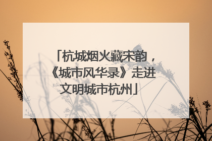 杭城烟火藏宋韵，《城市风华录》走进文明城市杭州