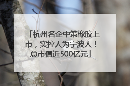 杭州名企中策橡胶上市，实控人为宁波人！总市值近500亿元