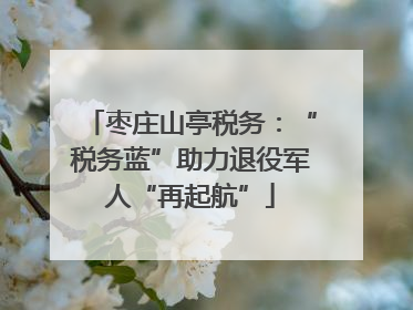 枣庄山亭税务：“税务蓝”助力退役军人“再起航”