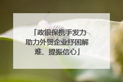 政银保携手发力 助力外贸企业纾困解难、提振信心
