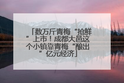 数万斤青梅“抢鲜”上市！成都大邑这个小镇靠青梅“酿出”亿元经济