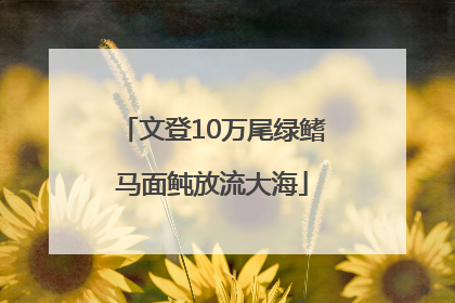 文登10万尾绿鳍马面鲀放流大海
