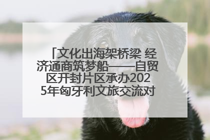 文化出海架桥梁 经济通商筑梦船——自贸区开封片区承办2025年匈牙利文旅交流对接活动专场