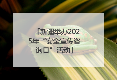 新疆举办2025年“安全宣传咨询日”活动