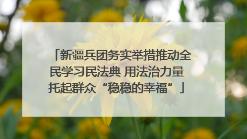 新疆兵团务实举措推动全民学习民法典 用法治力量托起群众“稳稳的幸福”