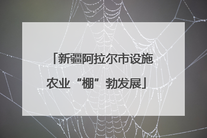 新疆阿拉尔市设施农业“棚”勃发展