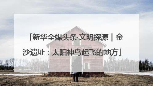 新华全媒头条·文明探源｜金沙遗址：太阳神鸟起飞的地方