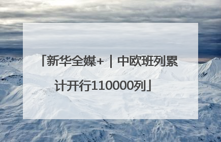 新华全媒+｜中欧班列累计开行110000列