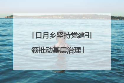 日月乡坚持党建引领推动基层治理