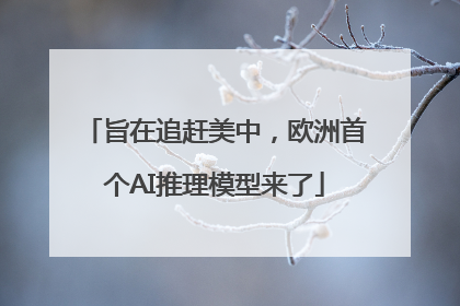 旨在追赶美中，欧洲首个AI推理模型来了