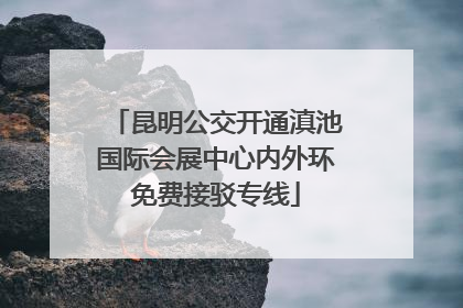 昆明公交开通滇池国际会展中心内外环免费接驳专线