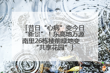 昔日“心病”变今日“新景”！东高地万源南里26栋楼前绿地变“共享花园”