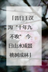 昔日王汉沟“十年九不收” 今日山水成景桃树成林