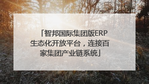 智邦国际集团版ERP生态化开放平台，连接百家集团产业链系统