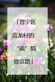 晋宁区青龙村的“菌”情致富路