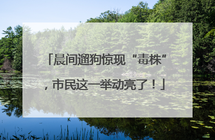 晨间遛狗惊现“毒株”，市民这一举动亮了！