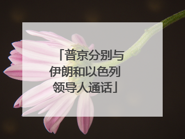 普京分别与伊朗和以色列领导人通话
