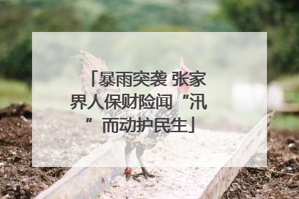 暴雨突袭 张家界人保财险闻“汛”而动护民生