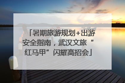 暑期旅游规划+出游安全指南，武汉文旅“红马甲”闪耀高招会