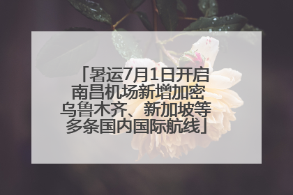 暑运7月1日开启 南昌机场新增加密乌鲁木齐、新加坡等多条国内国际航线