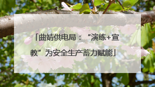 曲靖供电局：“演练+宣教”为安全生产蓄力赋能
